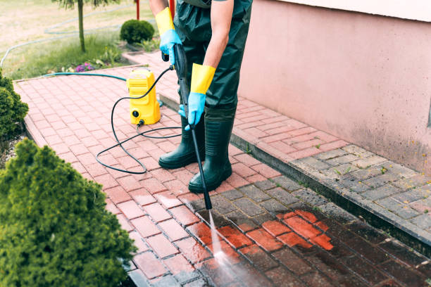 Best House Exterior Washing  in Kdeer, IL