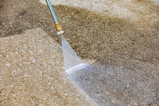 Best Pre-Holiday Cleaning  in Kdeer, IL
