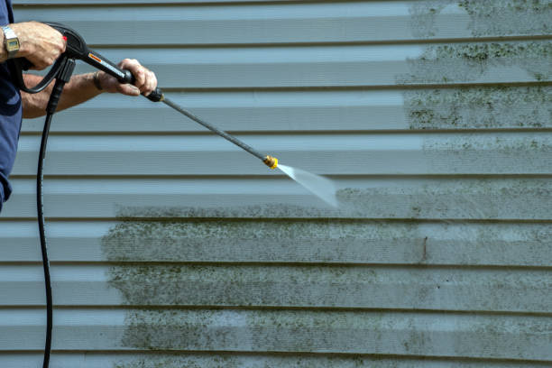 Best Gutter Cleaning  in Kdeer, IL